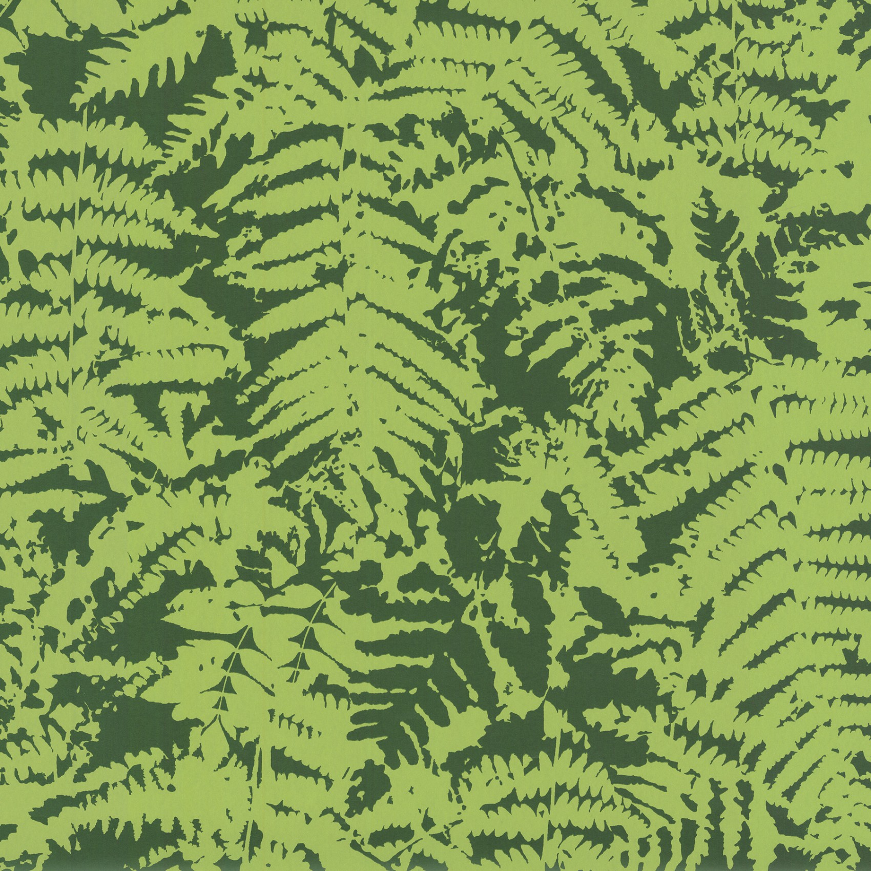 Fern - Green - Little Greene Fern - HD Wallpaper 
