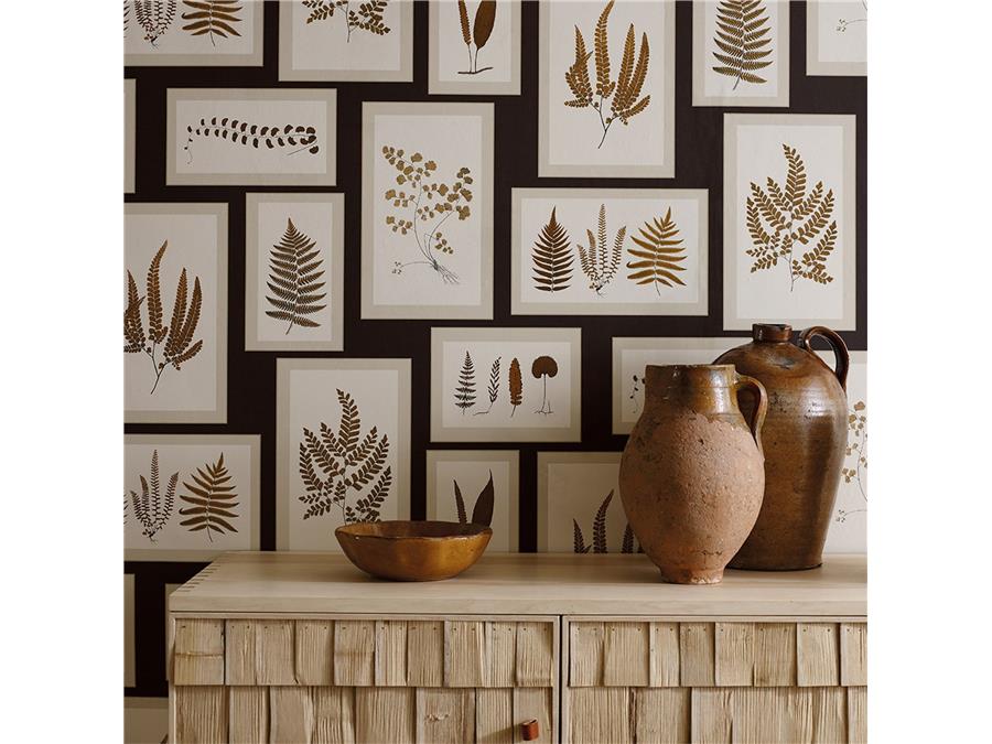 Гербарий Оформление На Стене - HD Wallpaper 