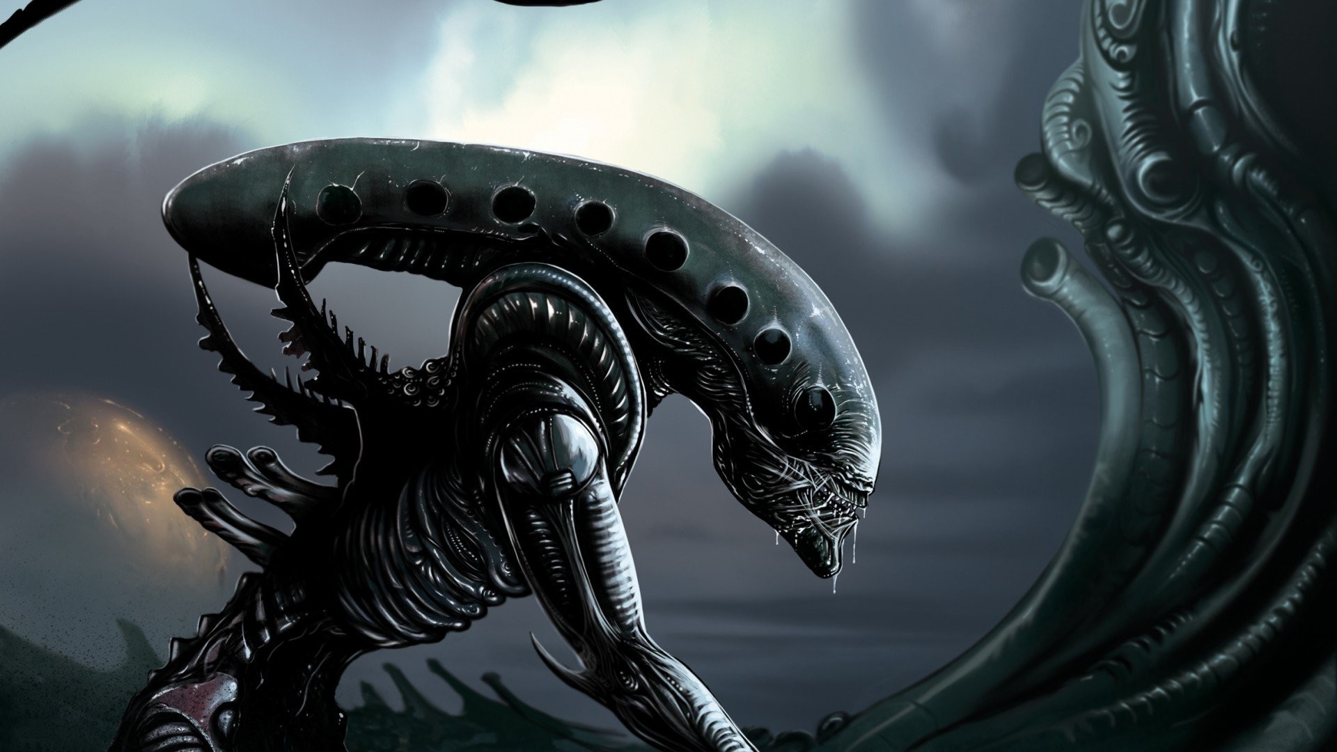 1920x1080, 
 Data Id 162211 
 Data Src /walls/full/f/0/4/162211 - Cool Predator Vs Alien - HD Wallpaper 