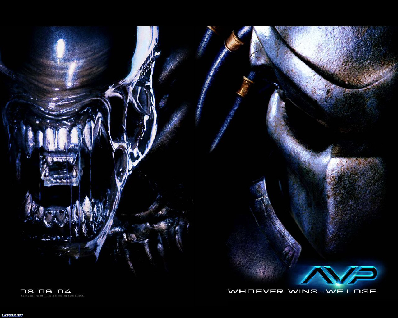 Desktop Wallpapers Free Alien Vs Predator - Alien Vs Predator Logo - HD Wallpaper 