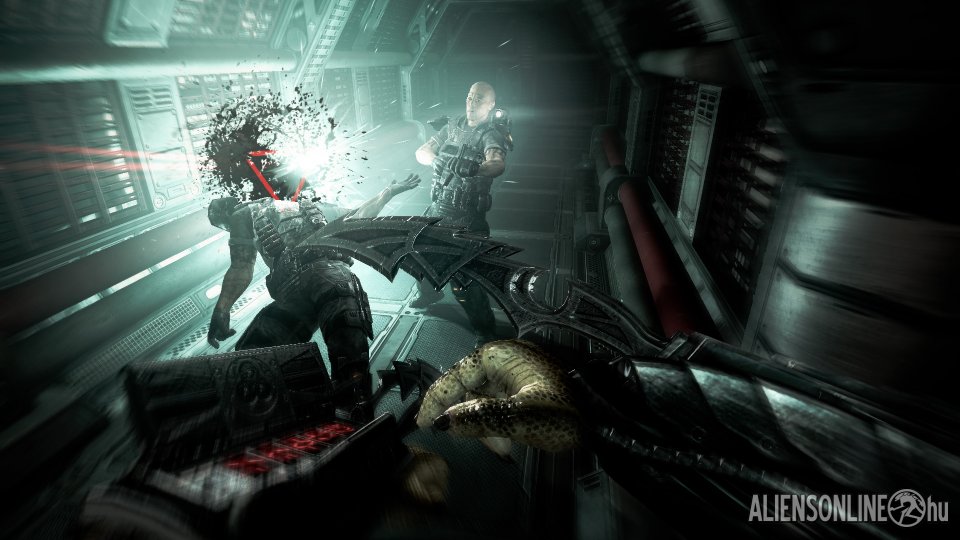 View Media - Alien Vs Predator 3 - HD Wallpaper 