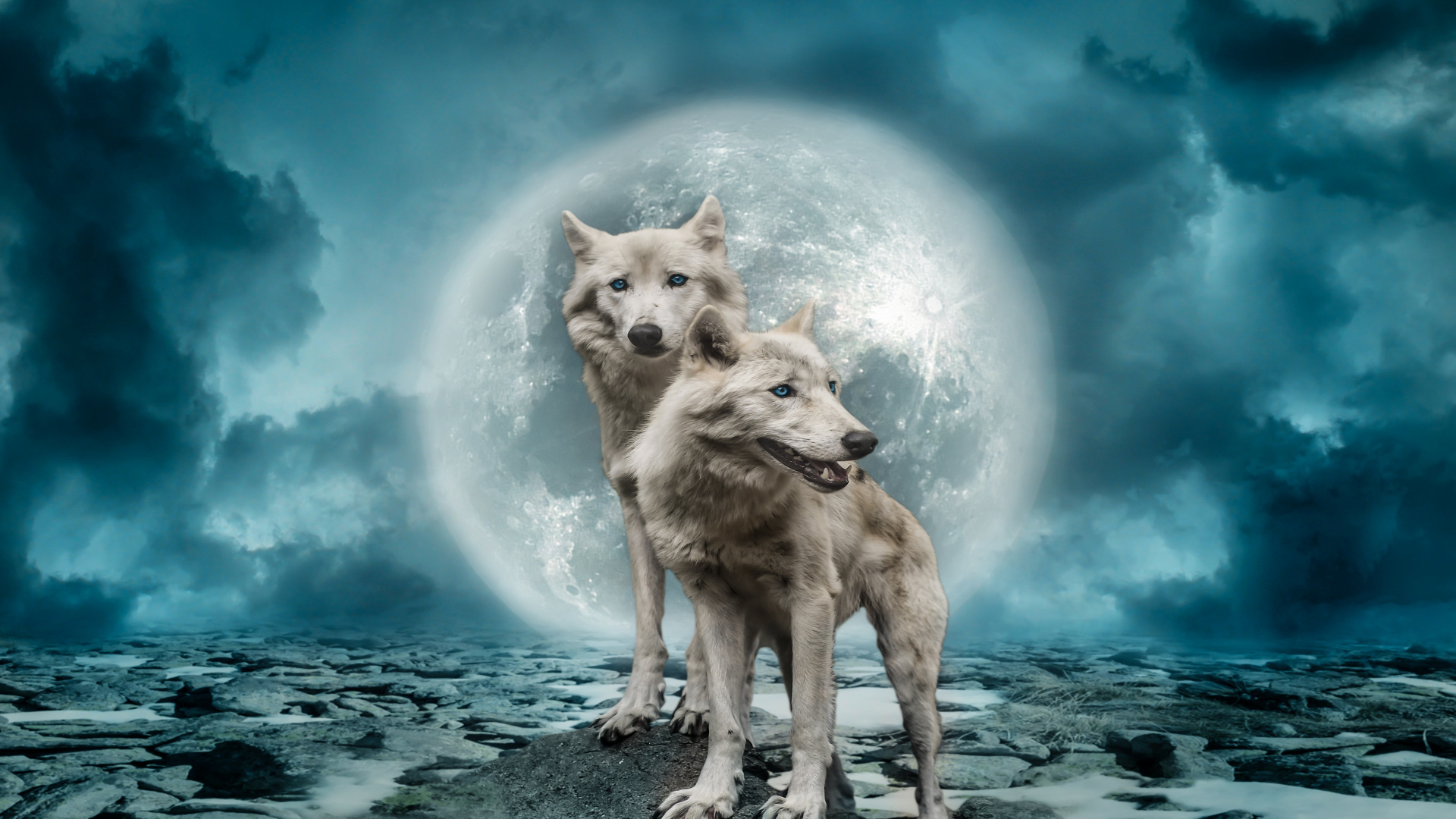 Predator, Wolves, Moon, Art, Wallpaper - Full Moon - HD Wallpaper 