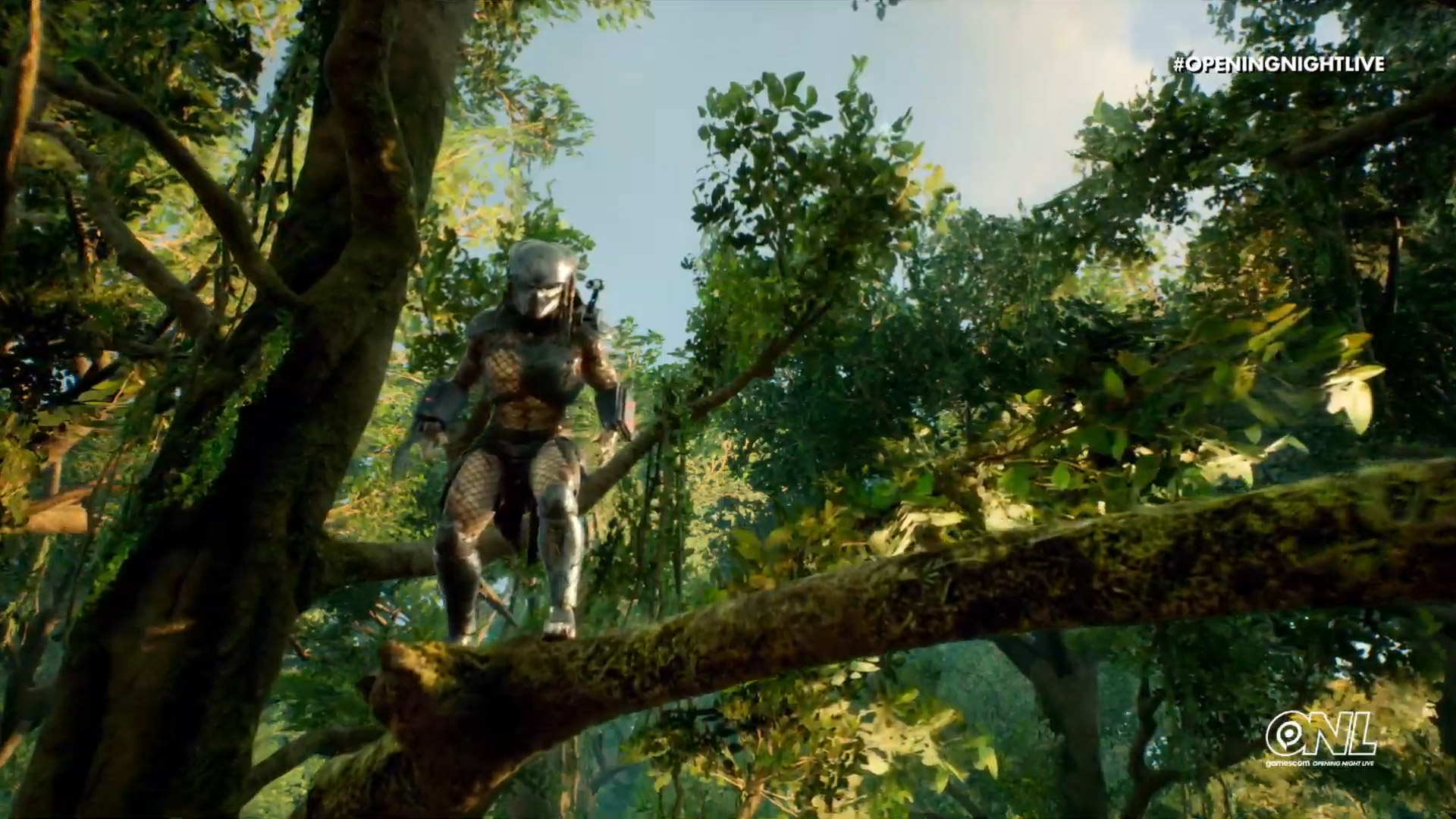 Predator From Predator Hunting Grounds - HD Wallpaper 