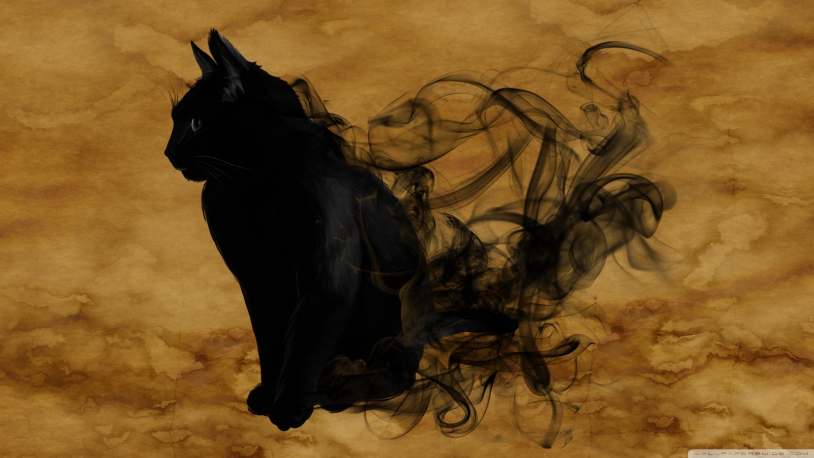 Halloween Black Cat Backgrounds - HD Wallpaper 