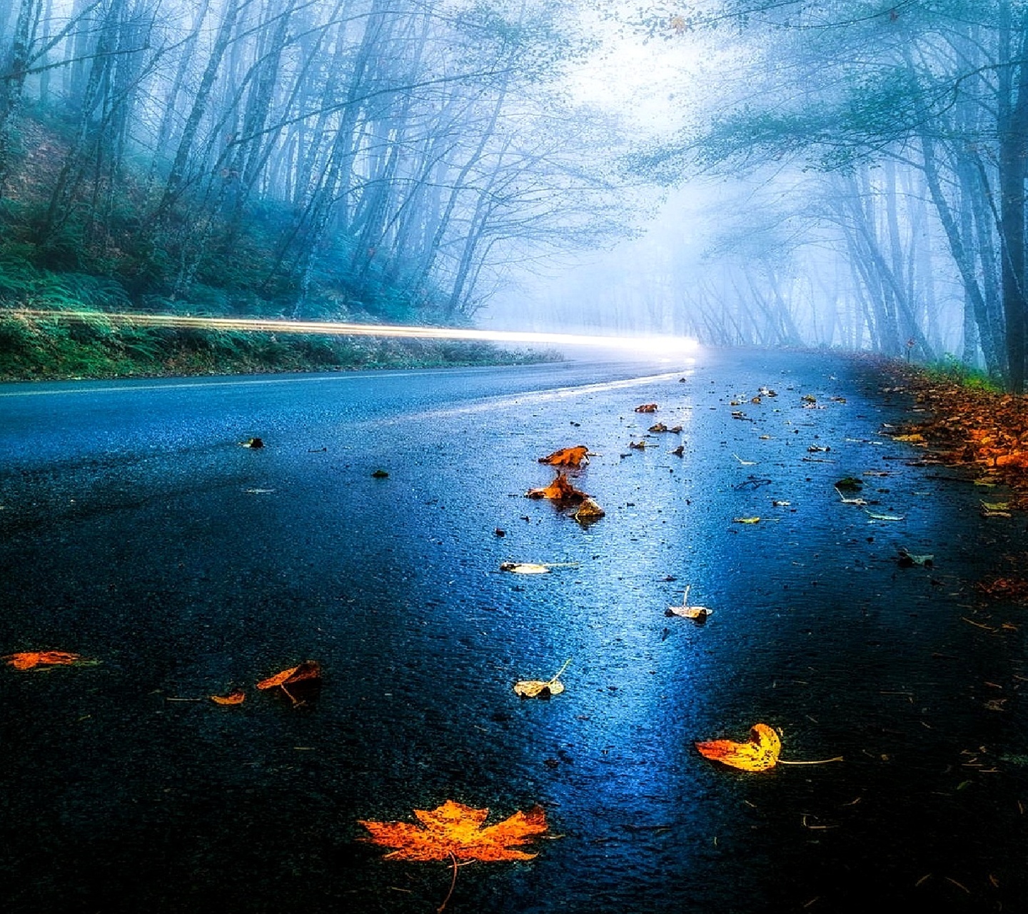 Hot Free Nokia N8 Themes - Reflection - HD Wallpaper 