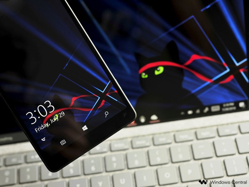 Ninjacat - HD Wallpaper 