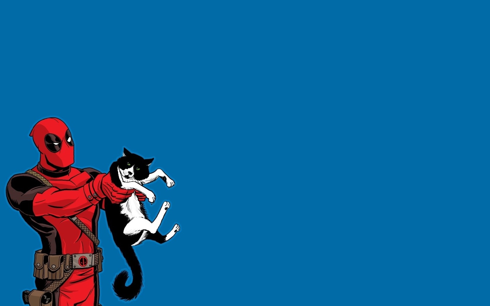 Deadpool Cat - HD Wallpaper 