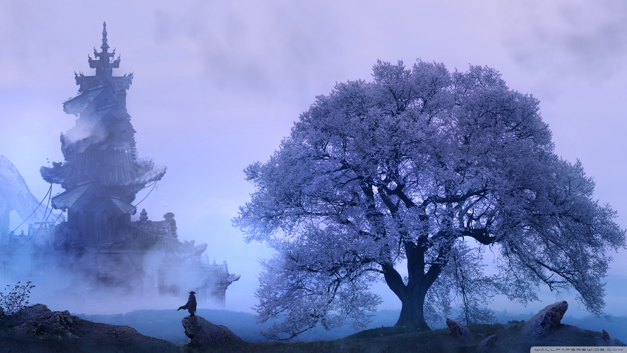 Fantasy Wallpaper Hd 2560x1440 Wallpaper Teahub io