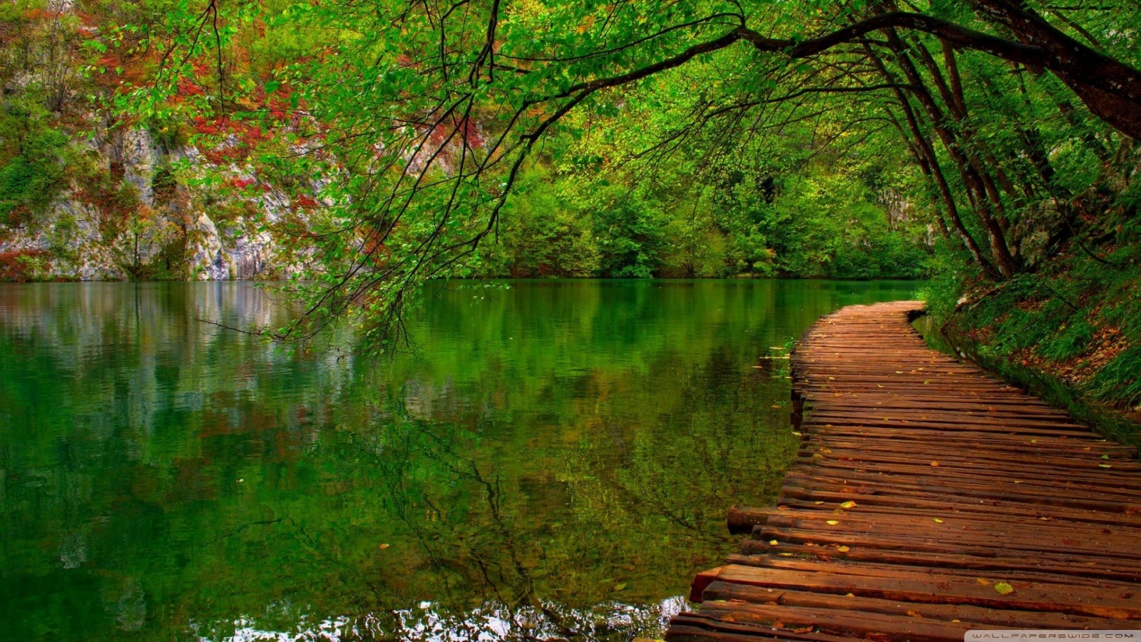 Fresh Nature Wallpaper Hd - HD Wallpaper 