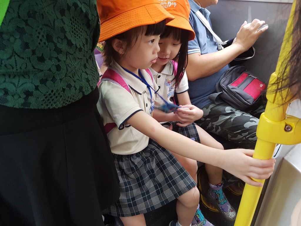 Toddler - HD Wallpaper 