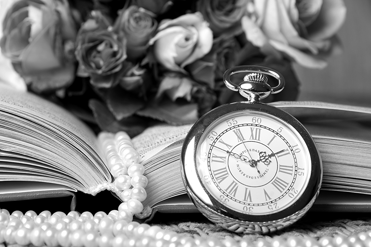 Roses And Pearls Black White - HD Wallpaper 