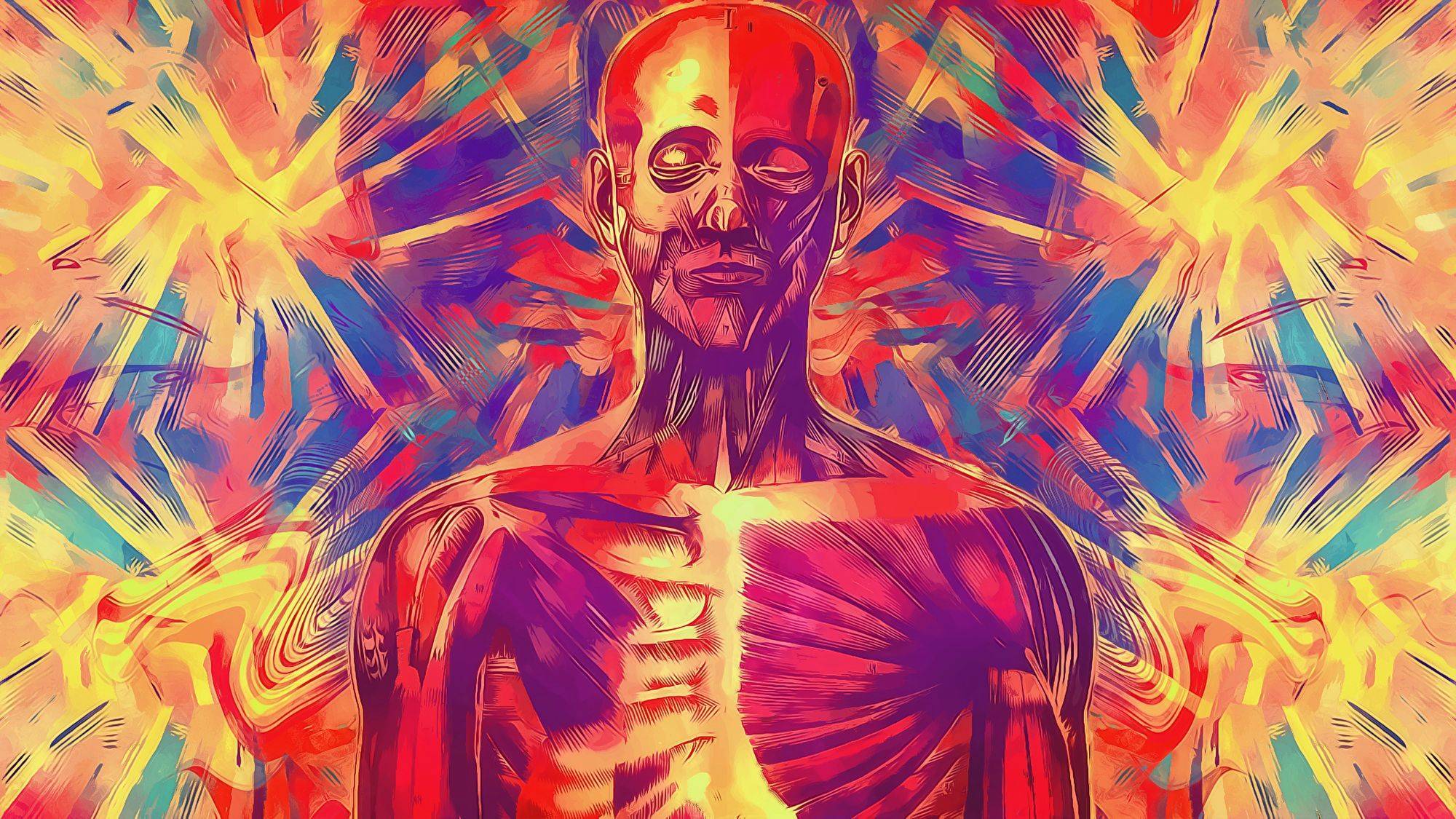 Anatomy Background - HD Wallpaper 