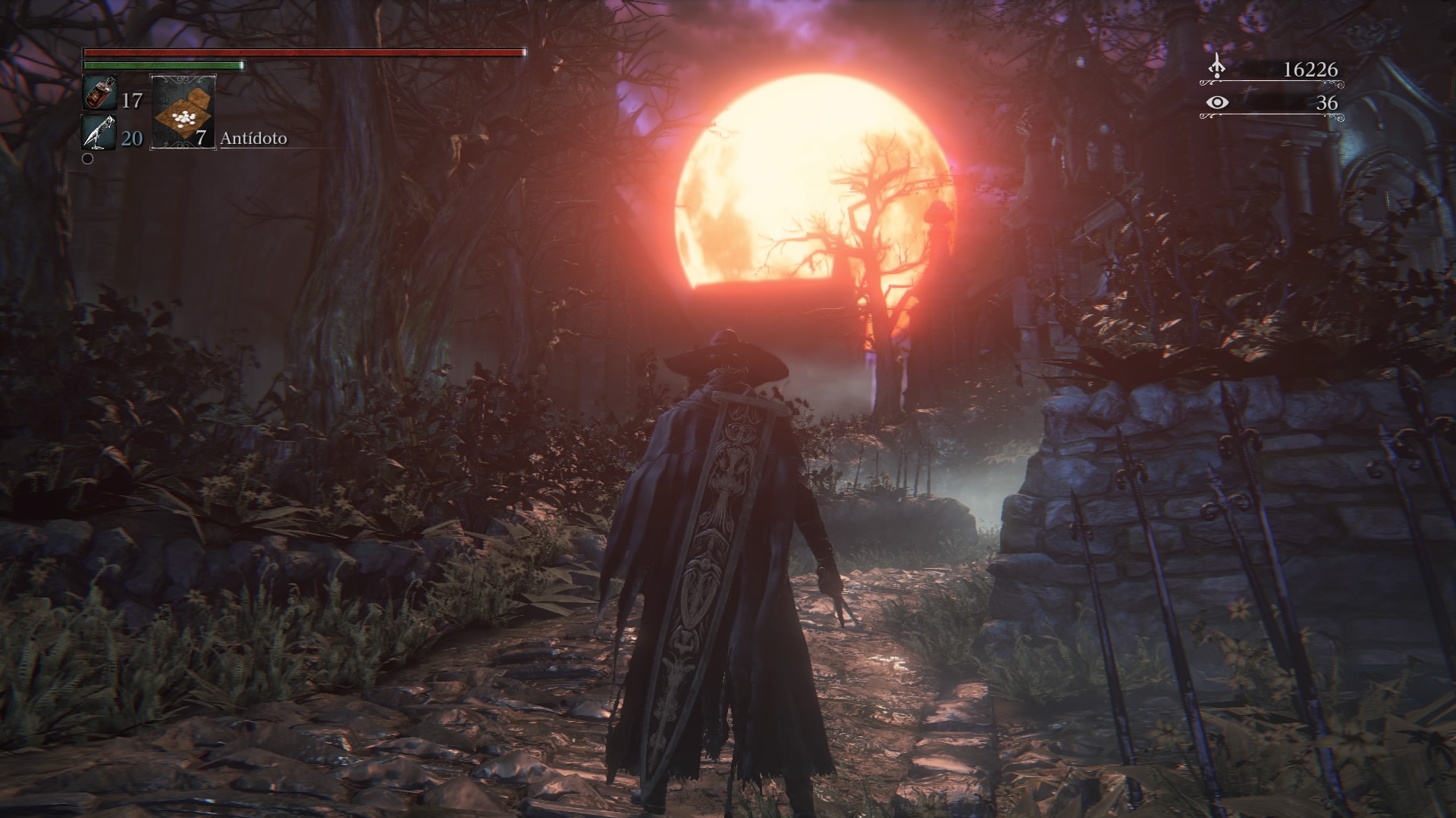 Wg Bloodborne - HD Wallpaper 