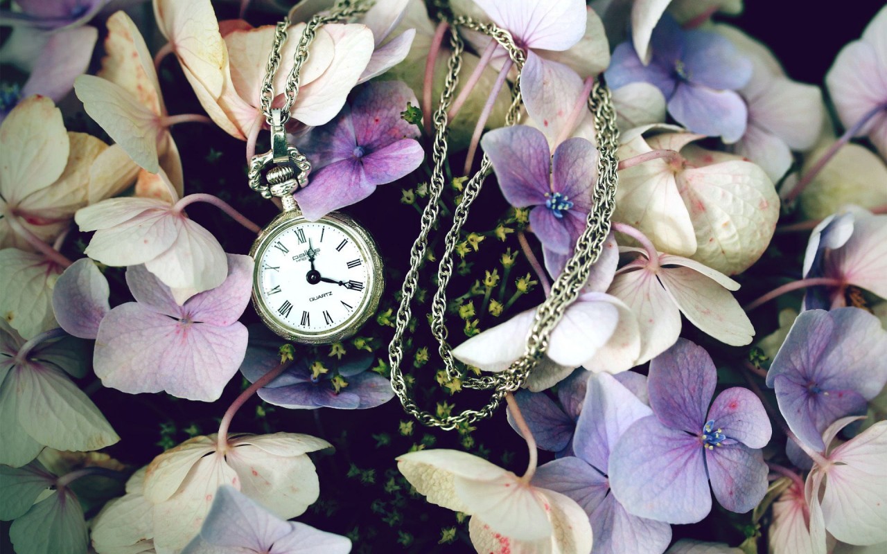 Pocket Watch & Flowers Wallpapers - Fond D Écran Stylé Fleurs - HD Wallpaper 