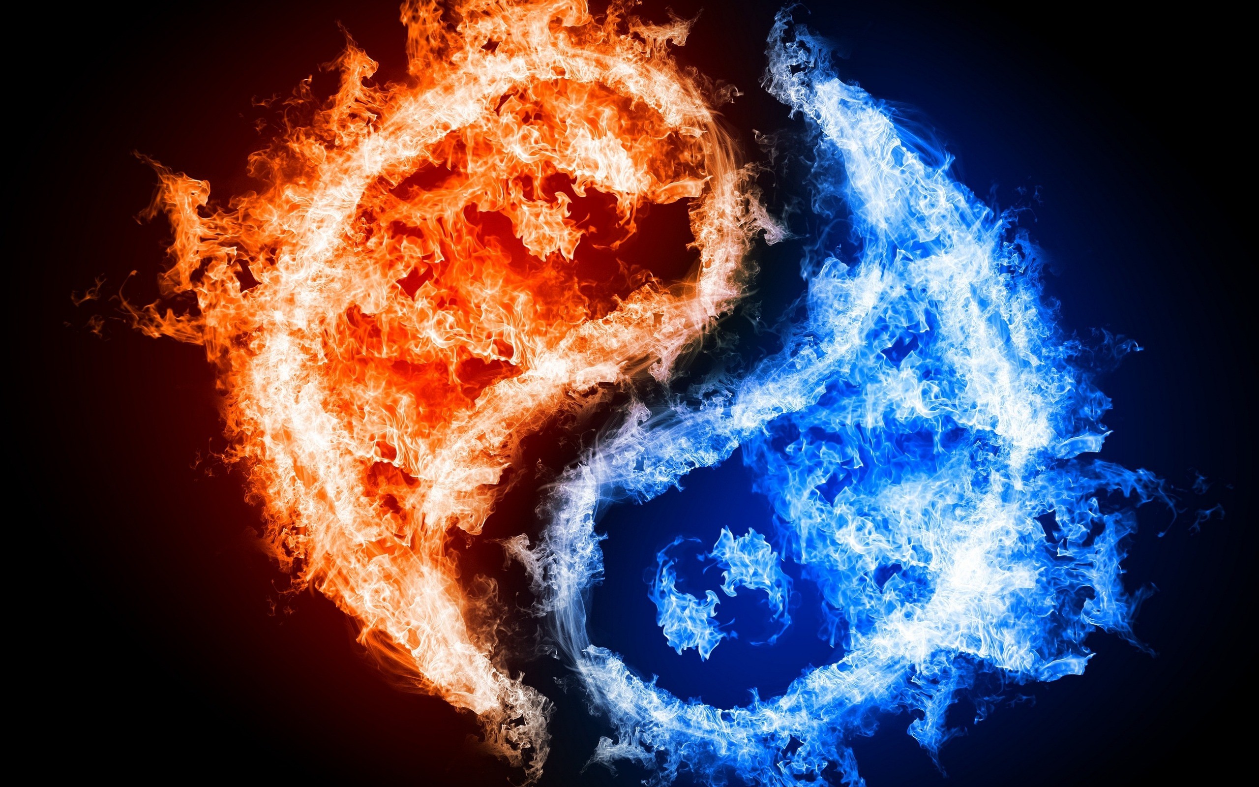Free Download Fire Red Blue Wallpaper In - Yin And Yang Red And Blue - HD Wallpaper 