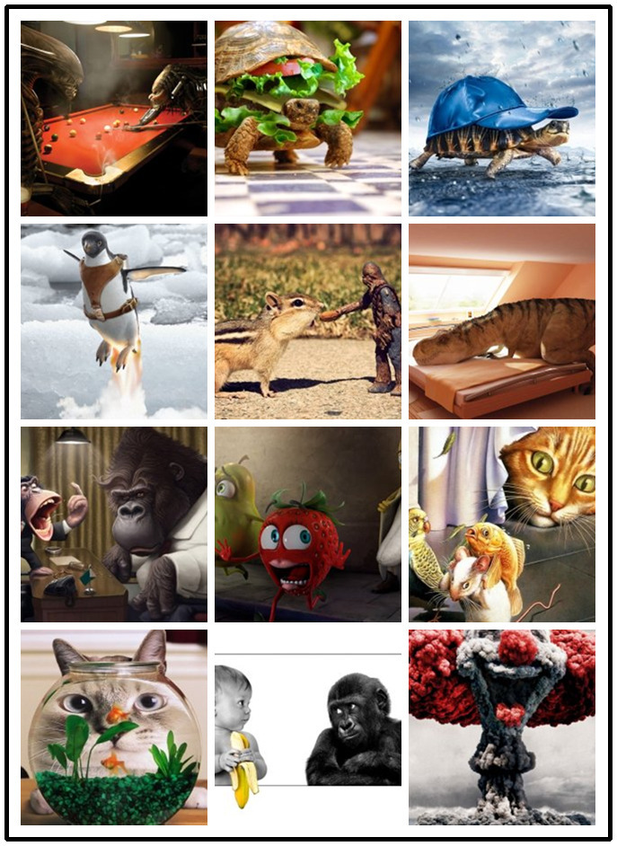 Collage - HD Wallpaper 