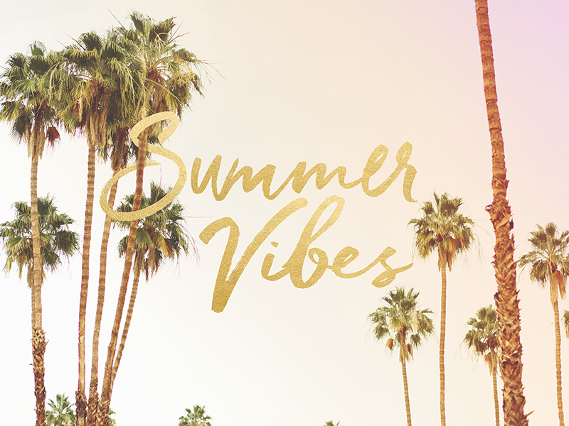 Cute Summer Desktop Wallpaper - Borassus Flabellifer - HD Wallpaper 