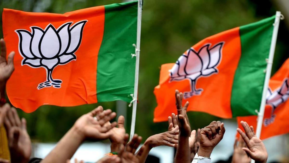 Bharatiya Janata Party Will Have A Slightly Stronger - Bjp Politics - HD Wallpaper 