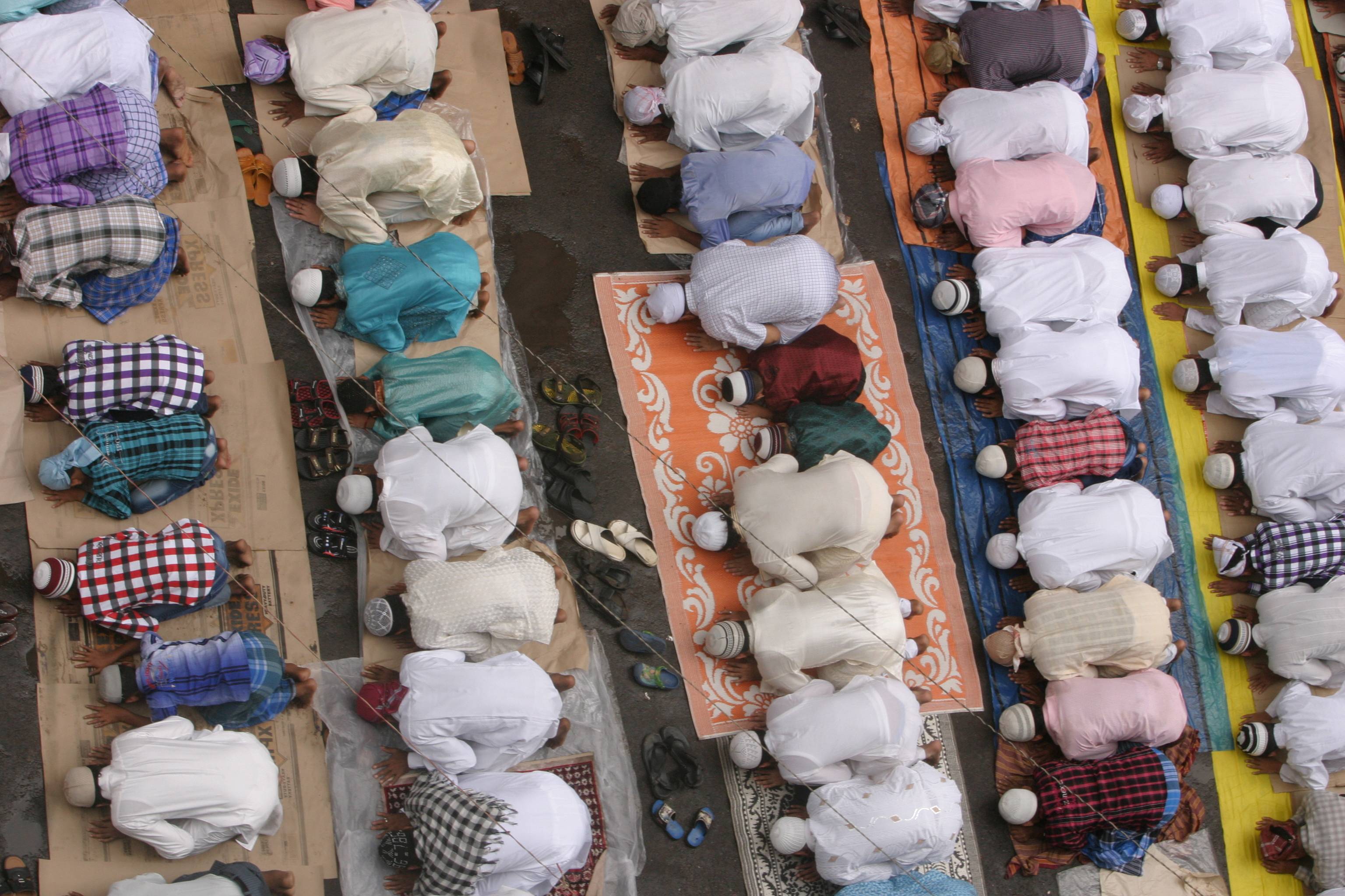 Collection - HD Wallpaper 