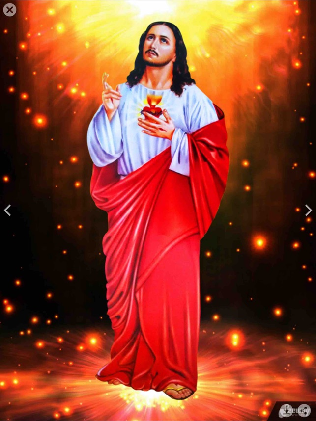 Wallpaper - HD Wallpaper 