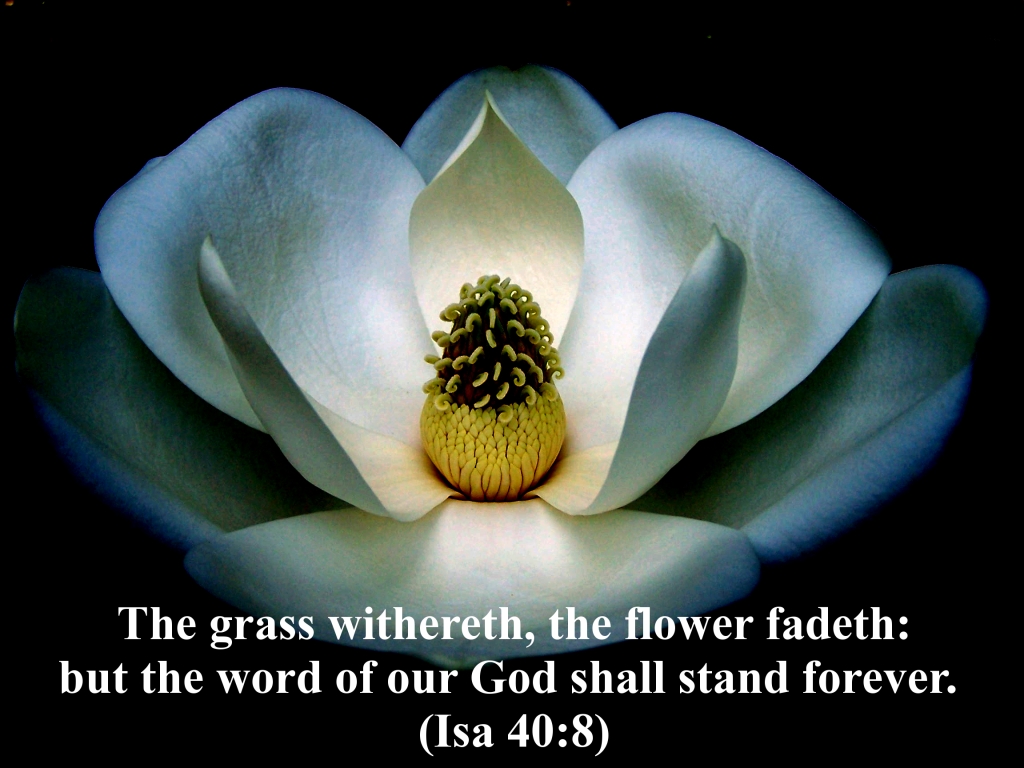Word Of God Images Free Download - HD Wallpaper 