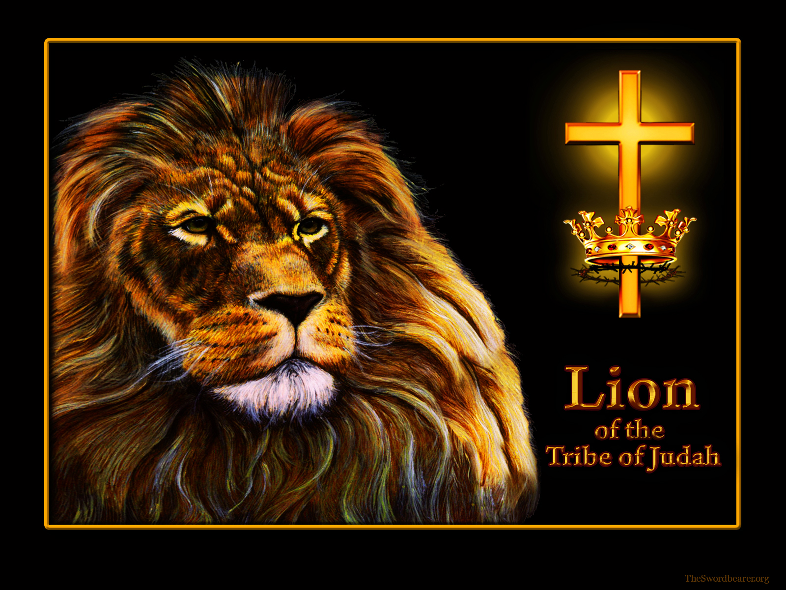 Lion Of Judah Backgrounds - HD Wallpaper 