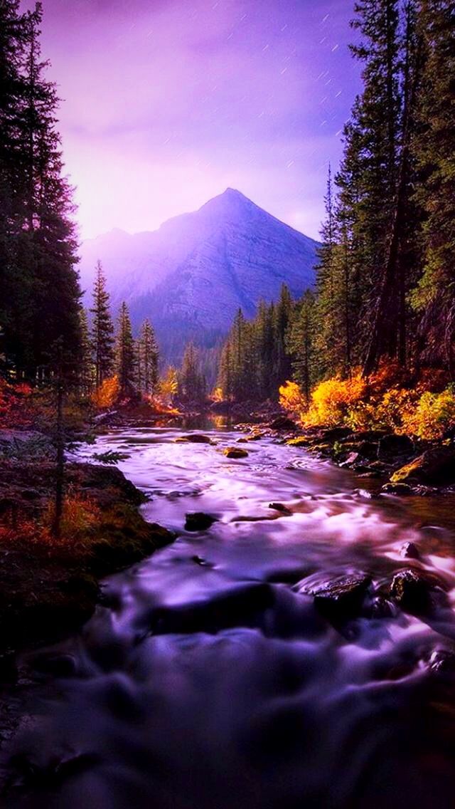 Nature Photography Nature Wallpaper Iphone - HD Wallpaper 