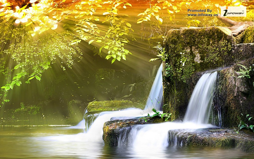 Nature Background Images For Websites - 1024x640 Wallpaper 