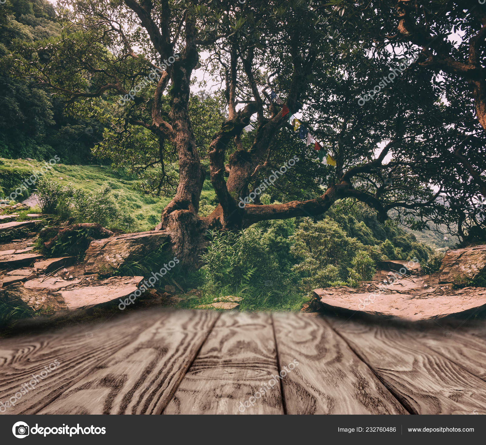 Stock Photography - HD Wallpaper 