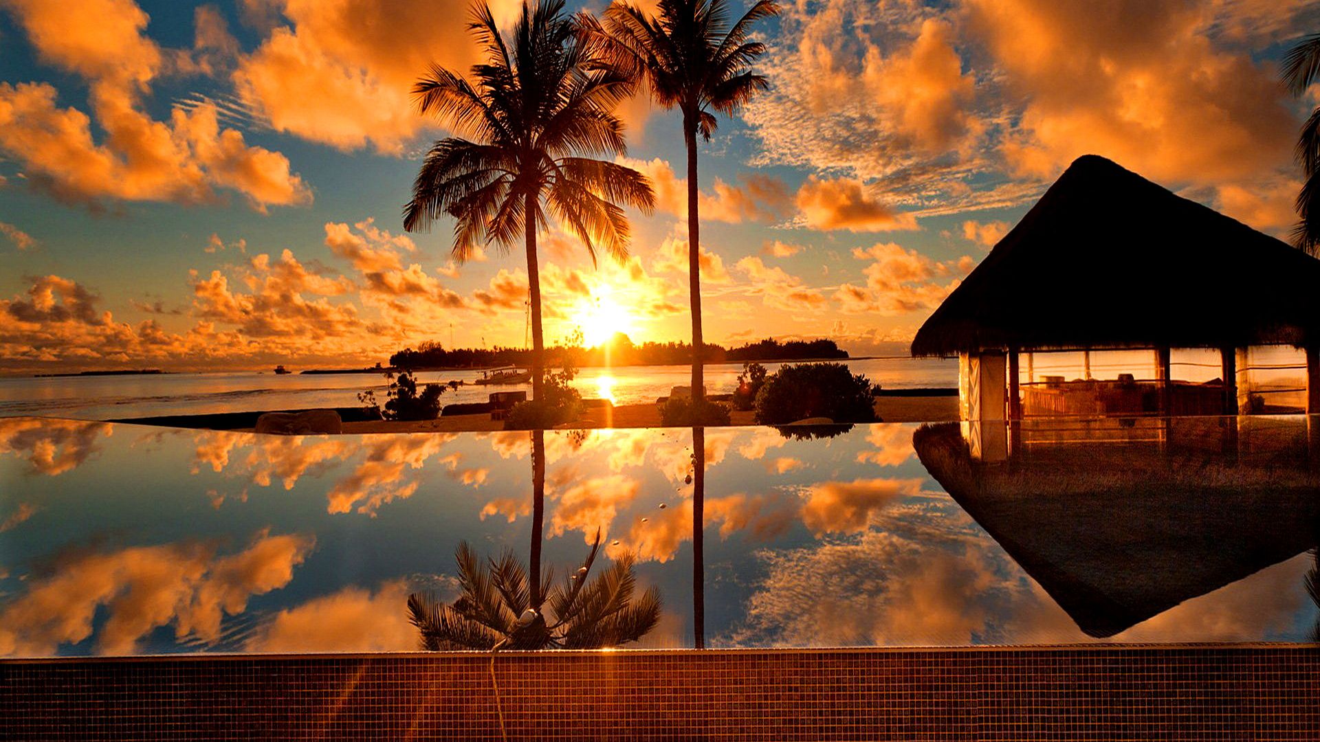 Tropical Sunrise - HD Wallpaper 
