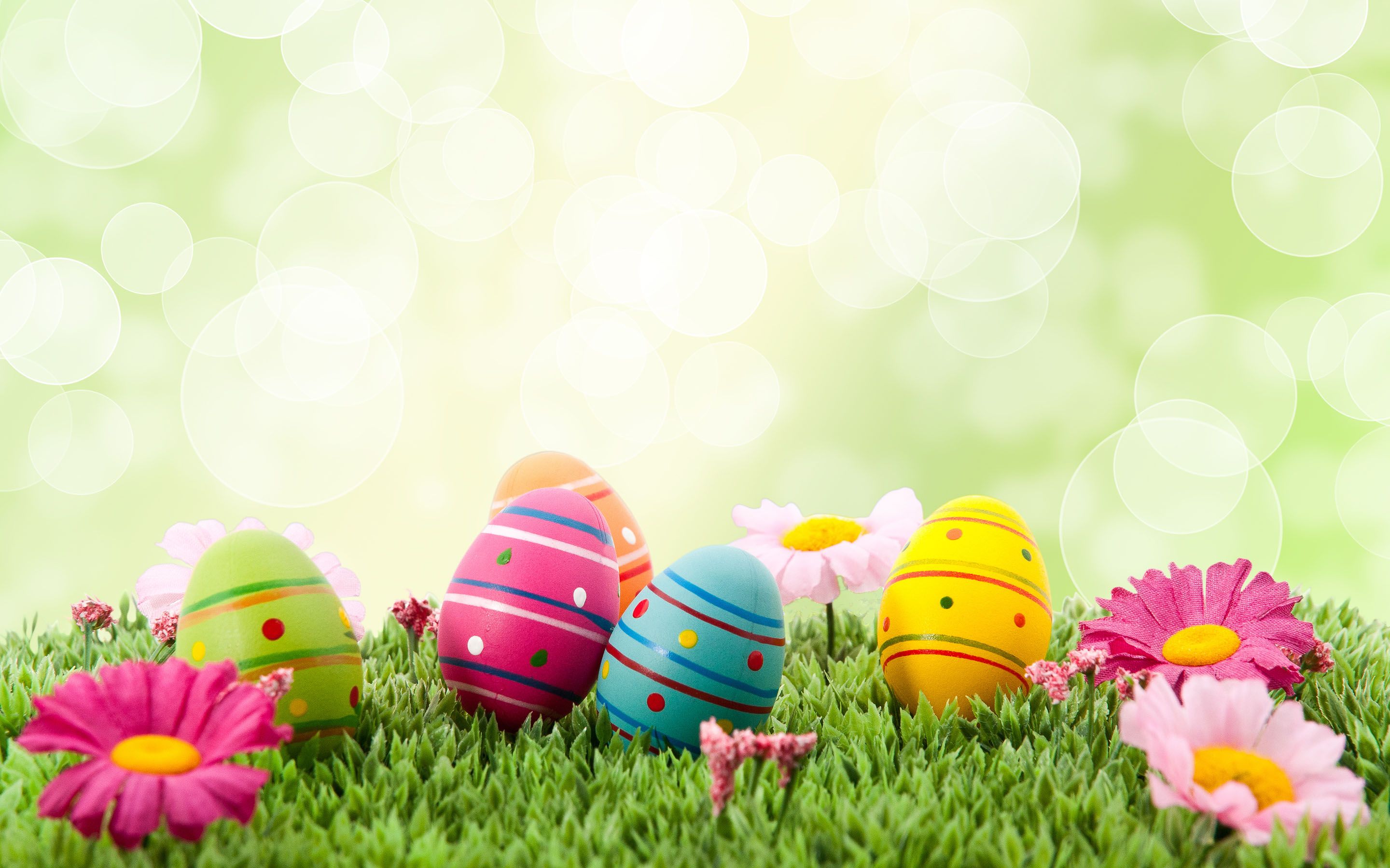 649 Easter Hd Wallpapers - Easter Background - HD Wallpaper 