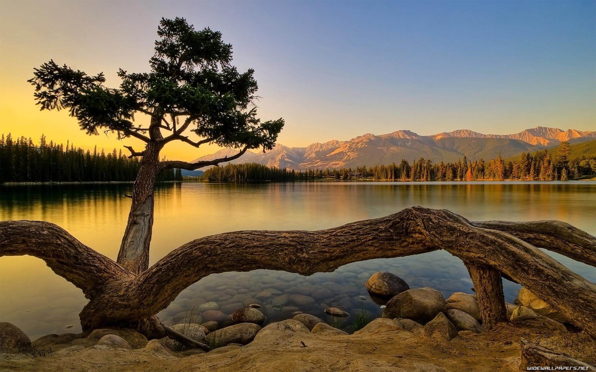 Background Nature Images Hd Download - HD Wallpaper 