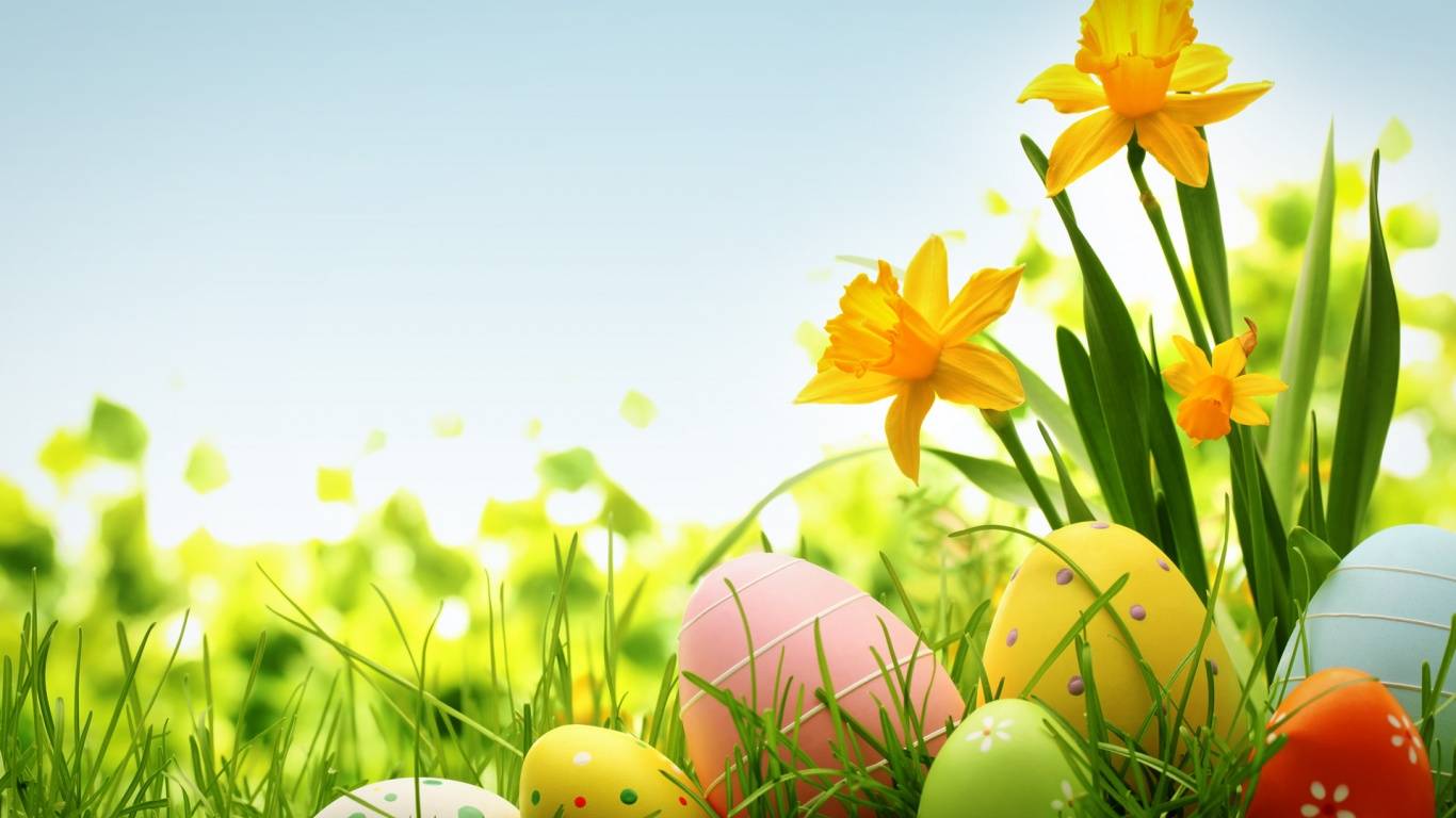 Easter Happy - HD Wallpaper 