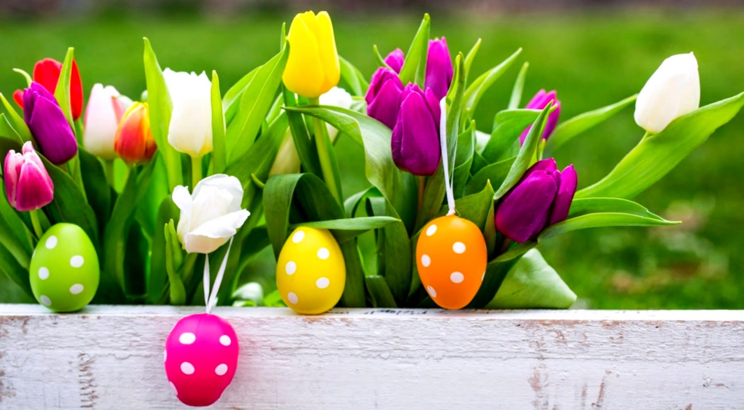 Free Easter Wallpapers Screensavers Hd Easter Images - Easter Eggs And Flowers - HD Wallpaper 