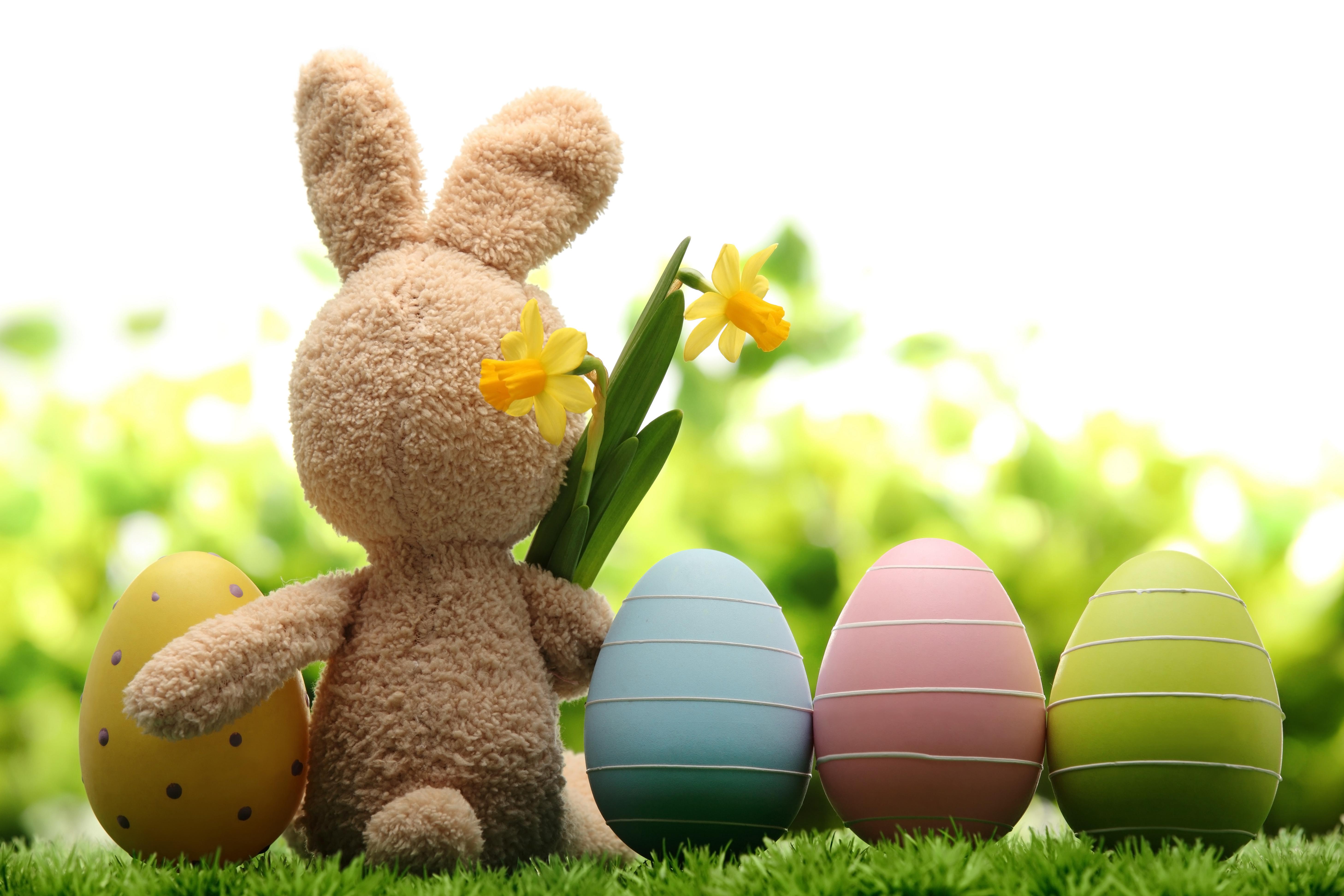 Funny Easter Bunny Pictures And Imag - Easter Desktop Backgrounds - HD Wallpaper 