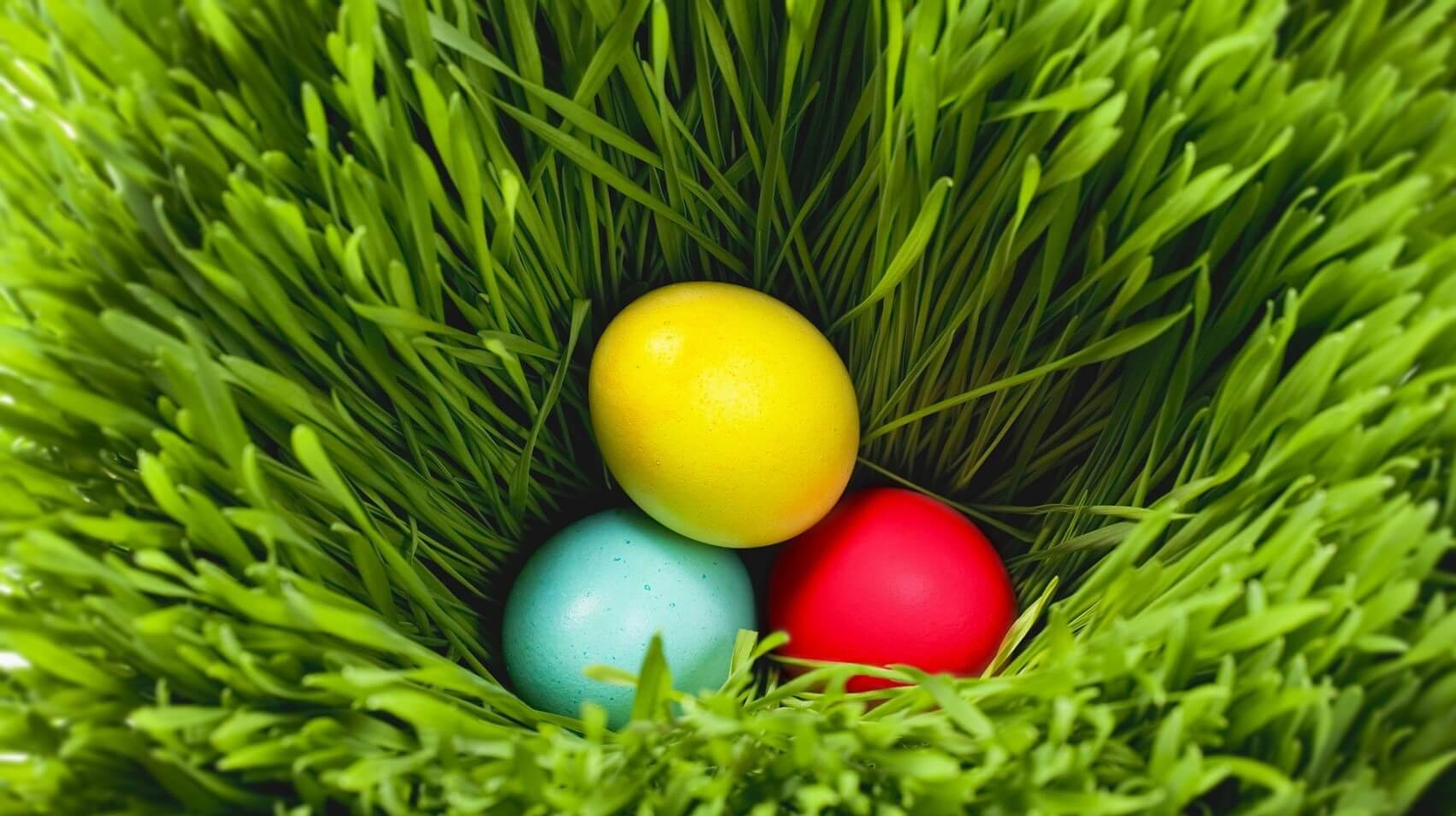 Basket Cute Easter Wallpaper - Hd Easter - HD Wallpaper 