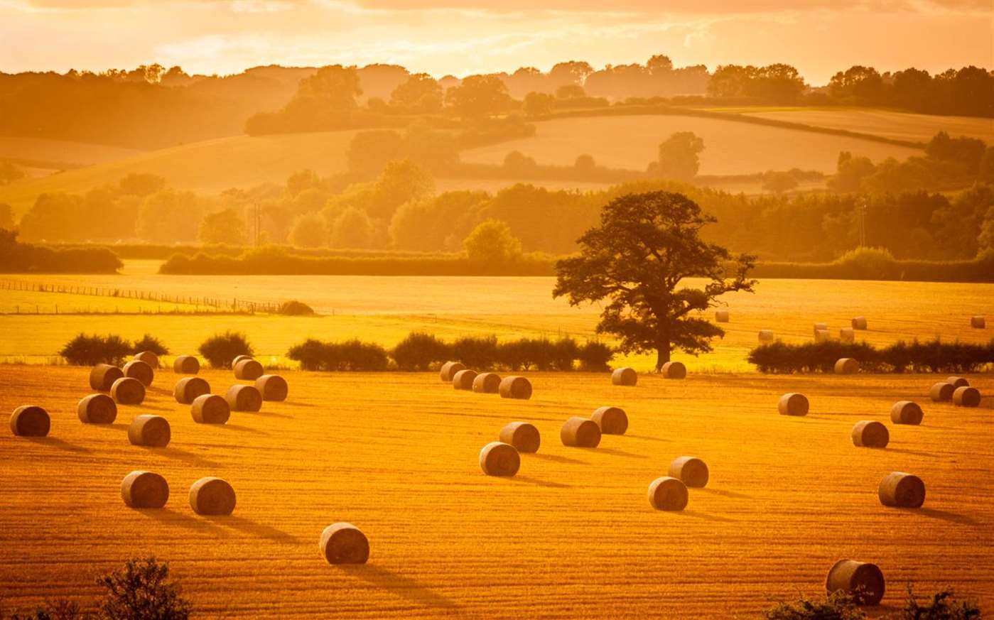 Windows Hay - HD Wallpaper 