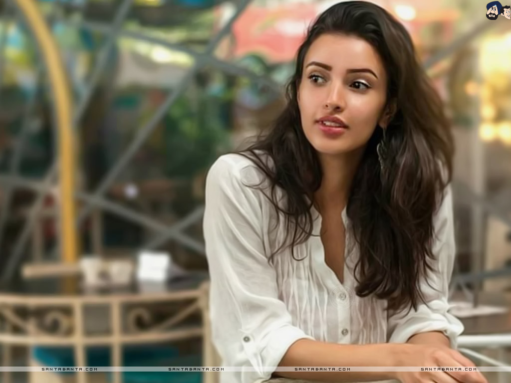 Tripti Dimri - HD Wallpaper 