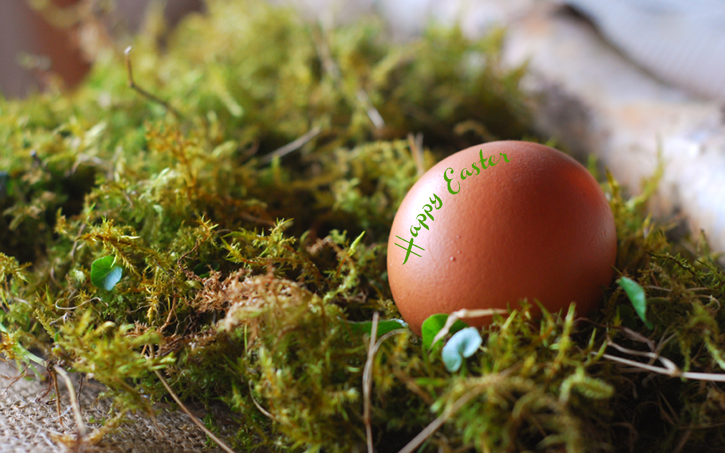 Grass - HD Wallpaper 