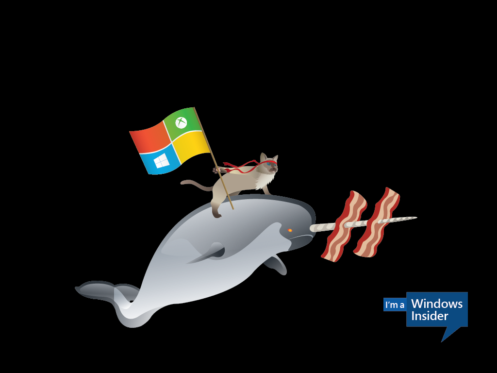 Ninja Cat Windows 10 - HD Wallpaper 