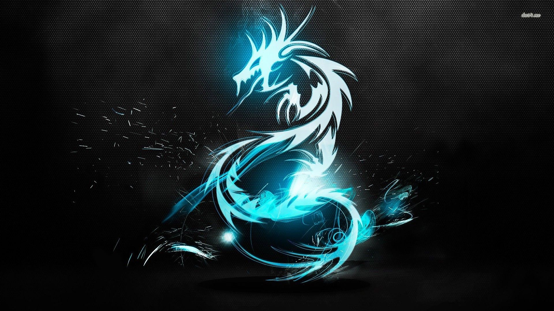 Cool Dragon - HD Wallpaper 