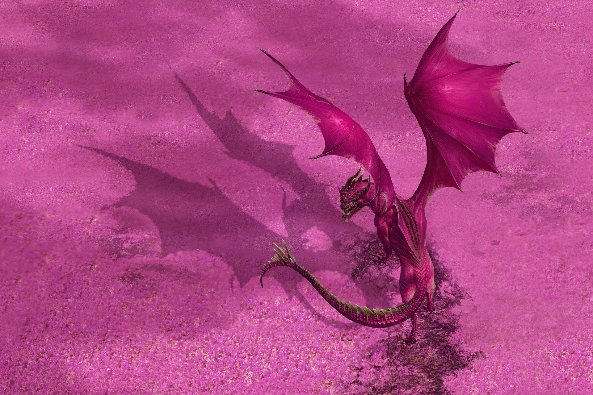 Pink Dragon Wallpaper - Dragon Shield Sleeves Magenta - HD Wallpaper 