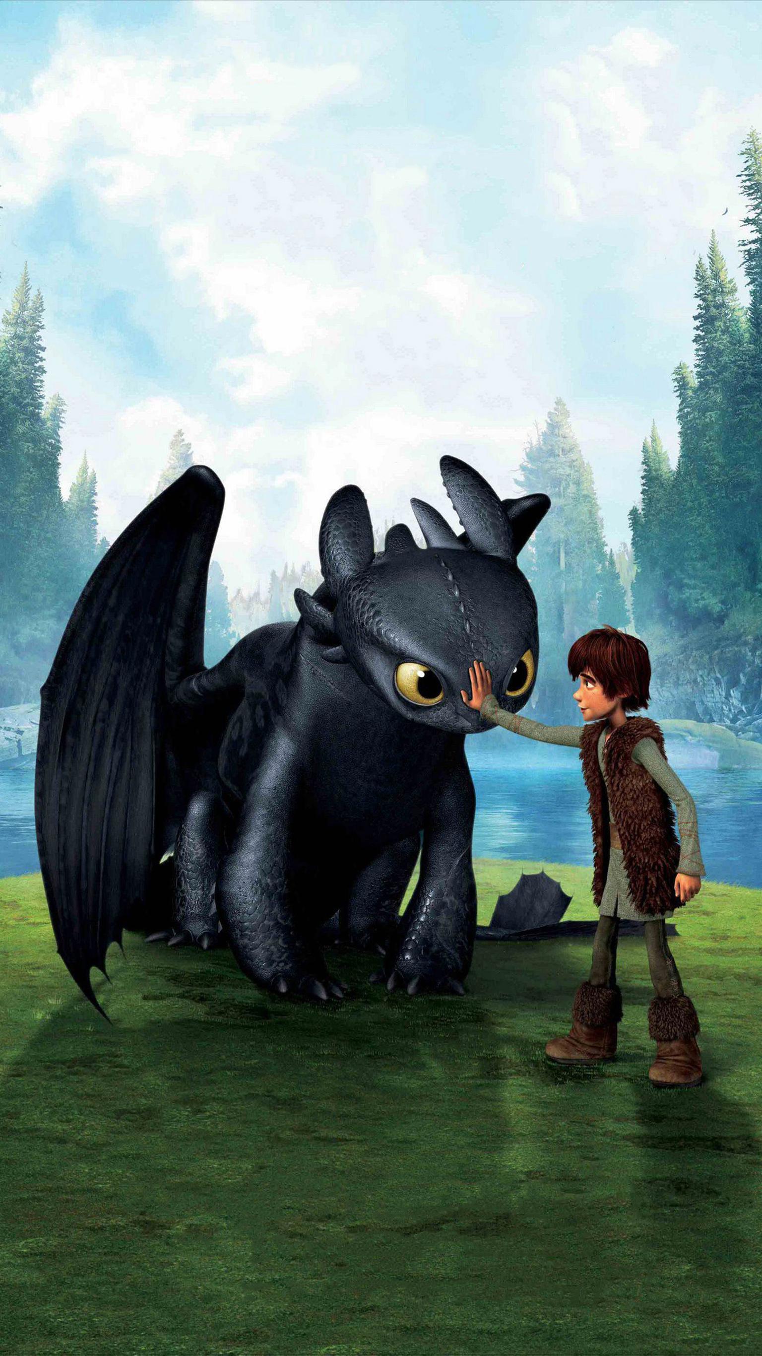 How To Train Your Dragon Wallpaper How To Train Your - Train Your Dragon Iphone - HD Wallpaper 