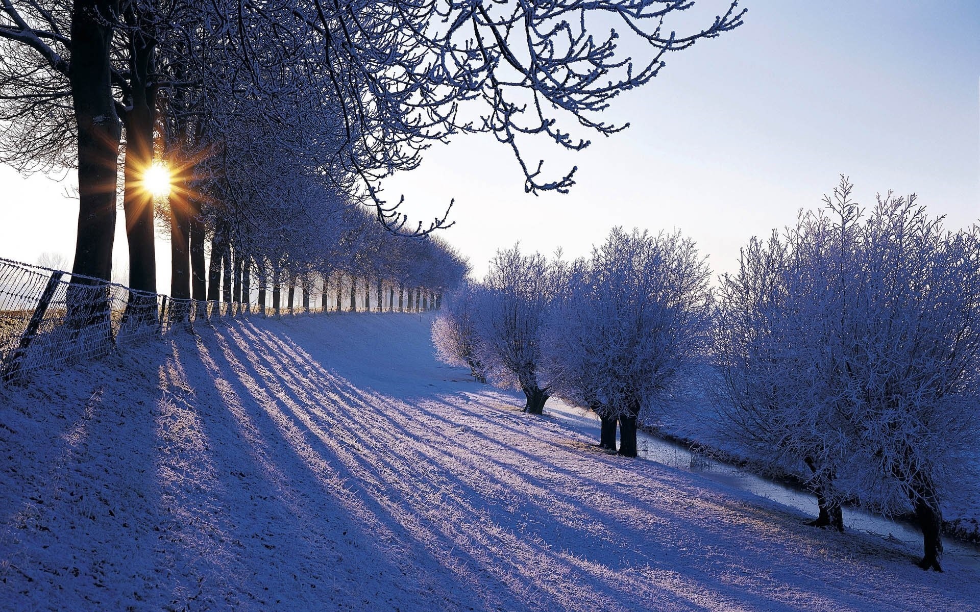 Winter Wallpapers 
 Src Top Beautiful Winter Wallpaper - Winter Landscape Background - HD Wallpaper 