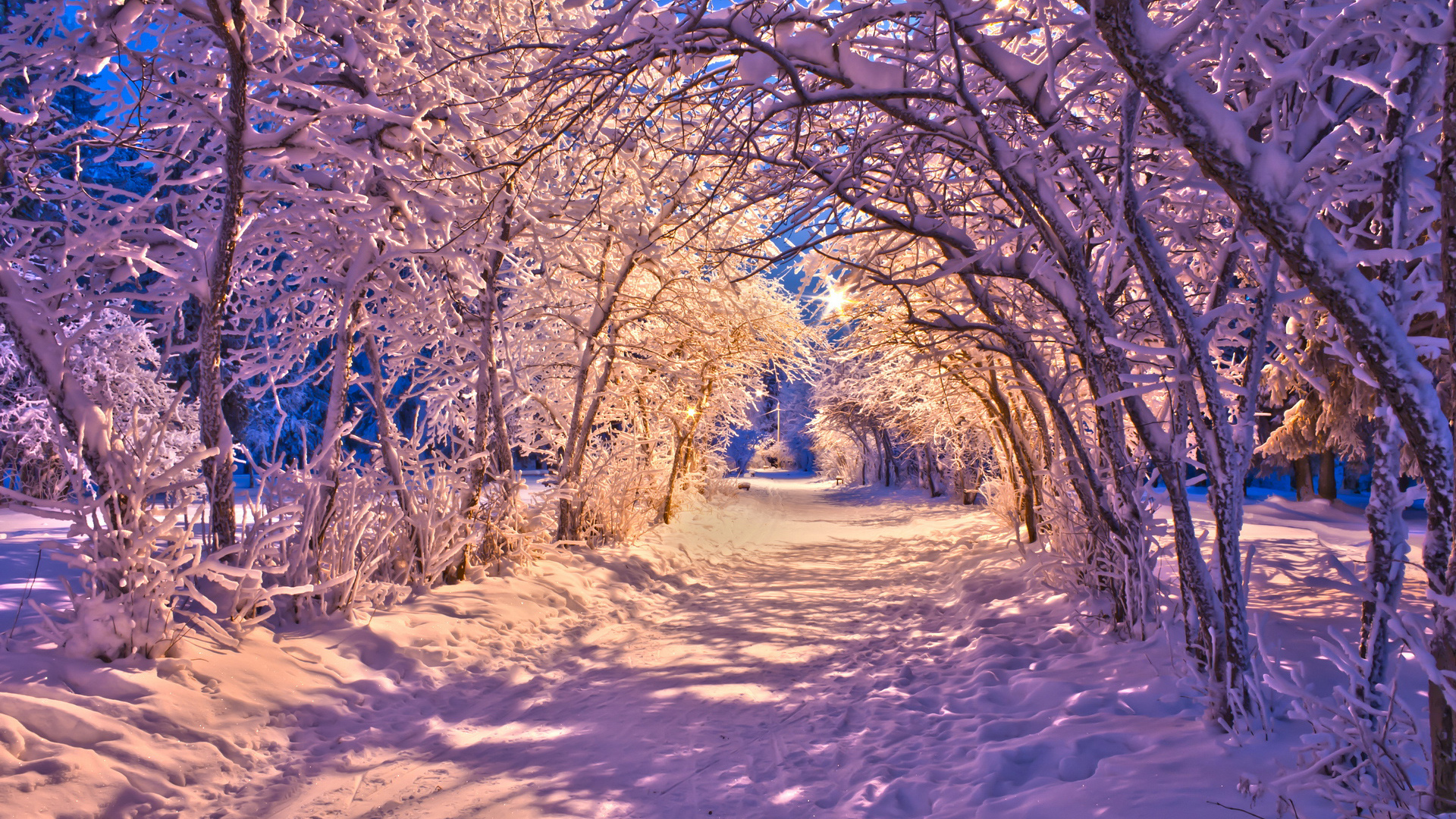 Winter Computer Backgrounds Hd - HD Wallpaper 