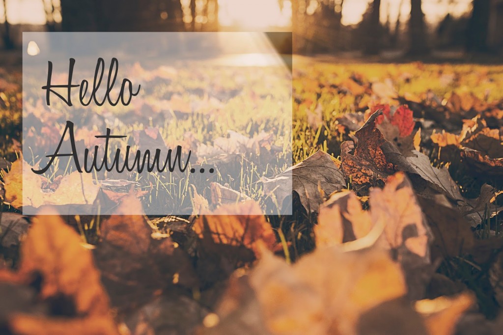 Autumn Photography - HD Wallpaper 