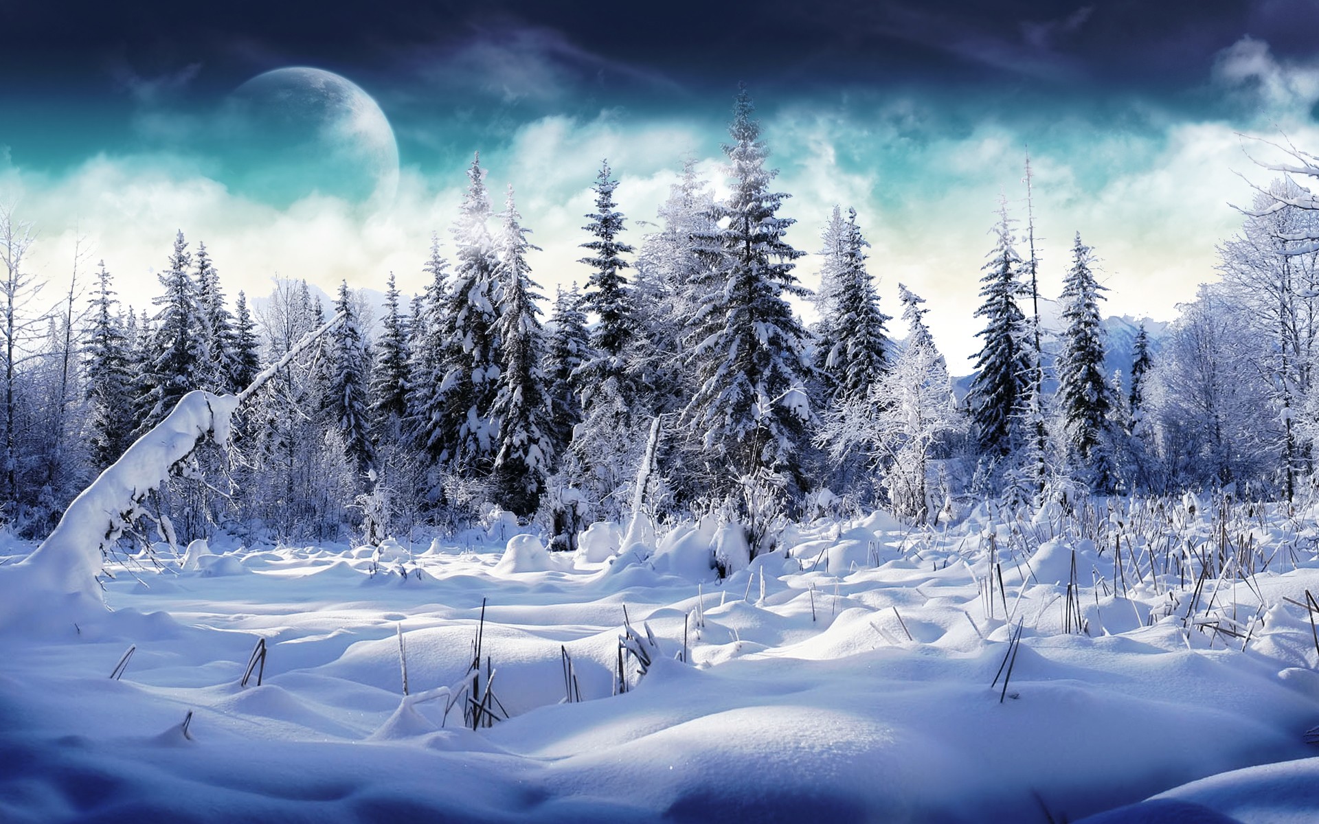 Free Winter Wallpaper - Winter Wallpaper Windows 10 - HD Wallpaper 