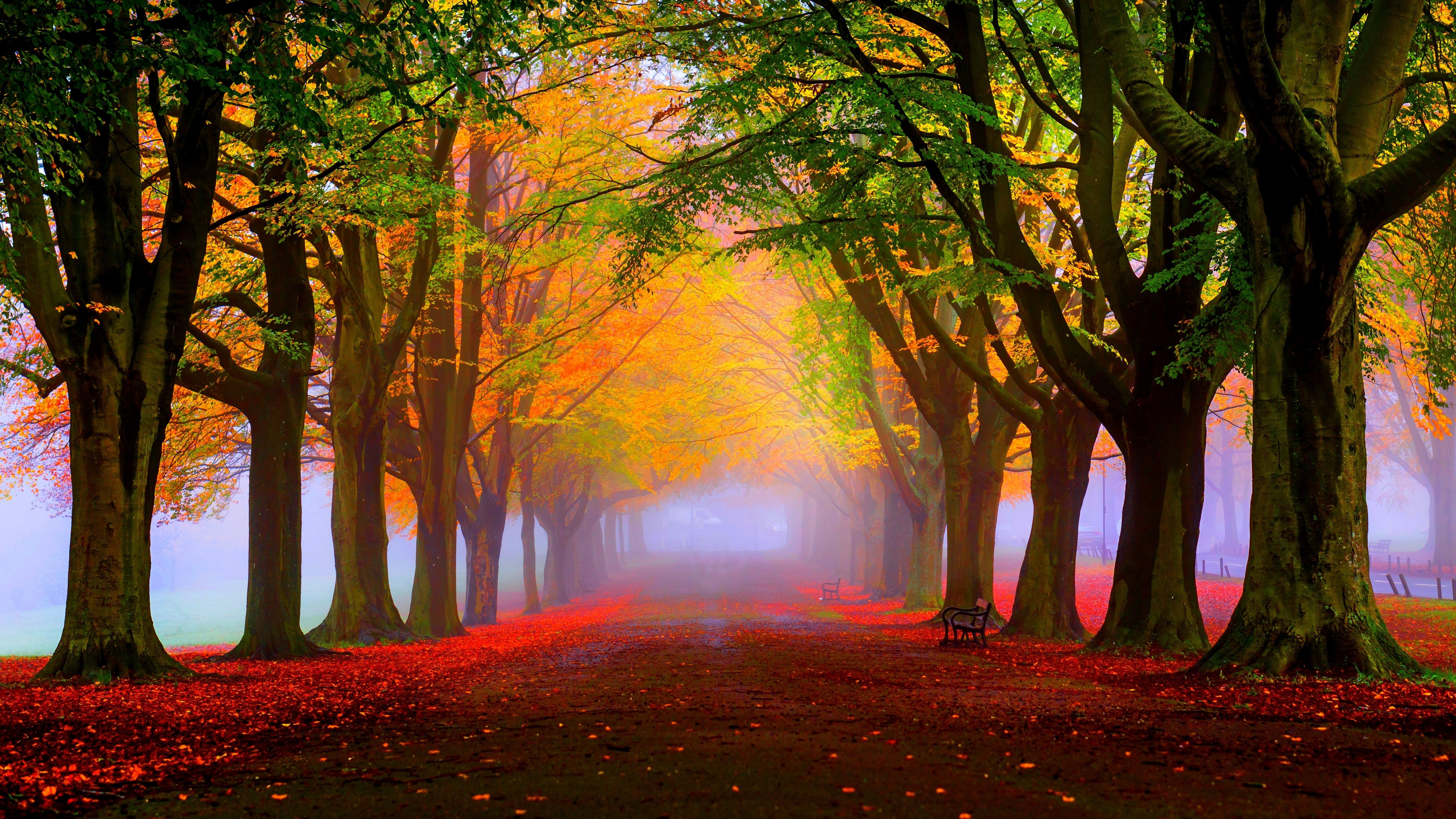 Autumn Wallpaper 4k - HD Wallpaper 