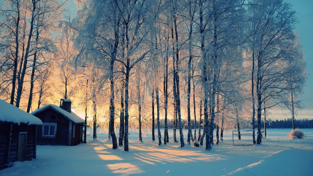 Winter Wallpaper Hd - HD Wallpaper 