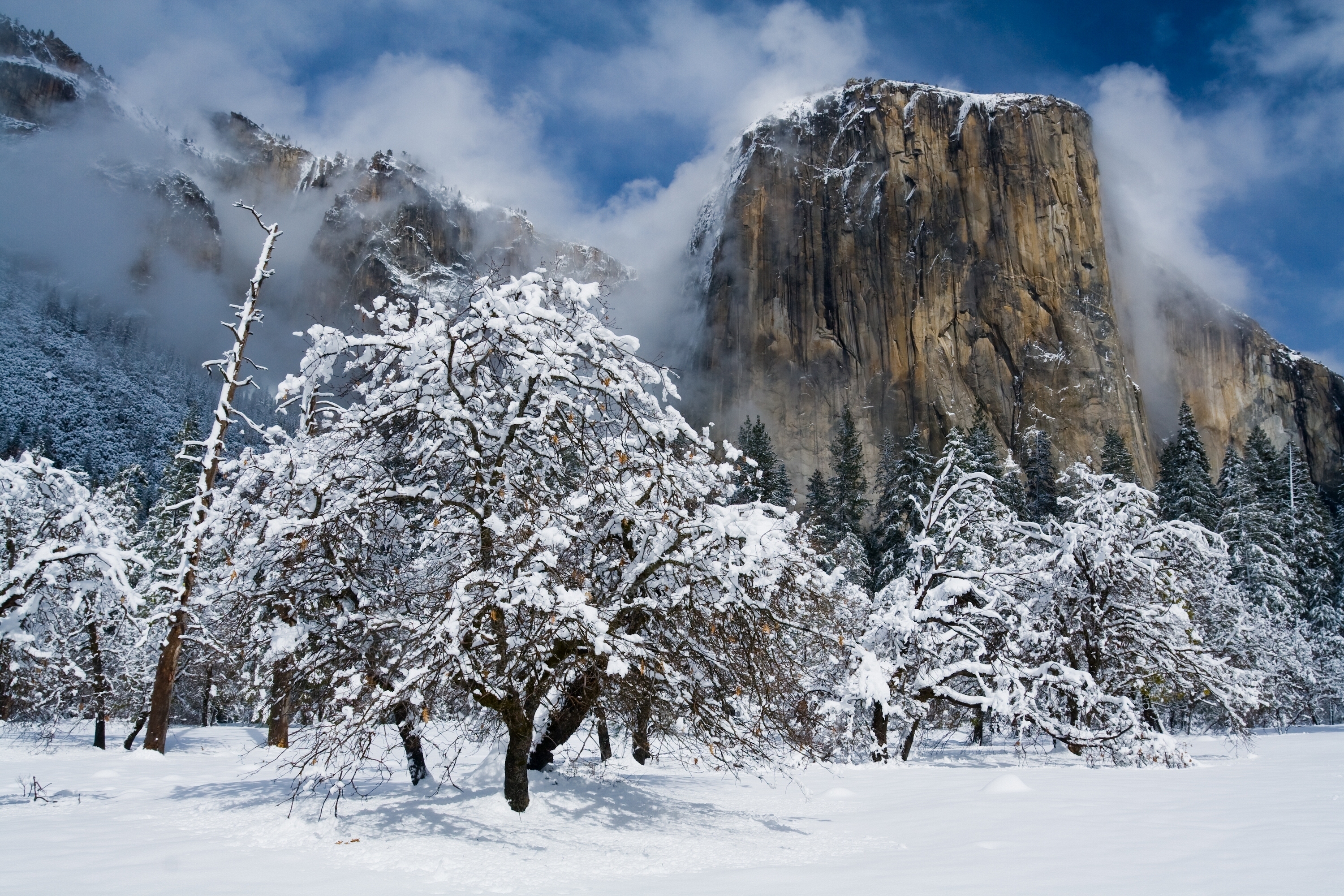 Yosemite Valley Lodge Winter - HD Wallpaper 